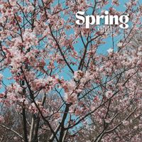 Reivax - Spring
