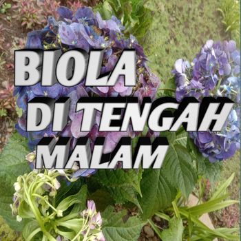 Condro - Biola ditengah malam