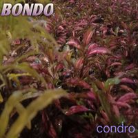 Condro - Bondo