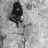 Asianoia - Abbiamo ceduto alle more