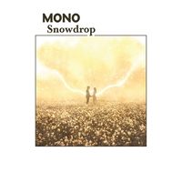 MONO - Gerbera