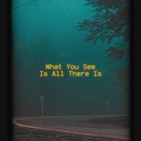 Claudio Suriano - What You See Is All There Is