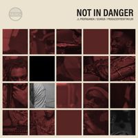 Propaganda - NOT IN DANGER