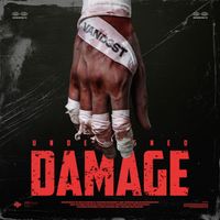 VAND3ST - Undesigned Damage