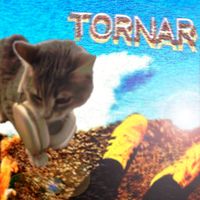 VITRALL - Tornar