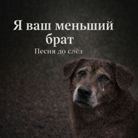DJ Salazar - Я ваш меньший брат песня до слёз