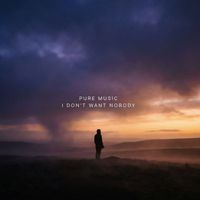 Pure Music - I Dont Want Nobody