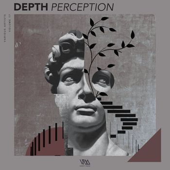 Various Artists - Depth Perception, Vol. 17