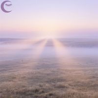 Dreamcore Fields - Beneath the Dreaming Sky