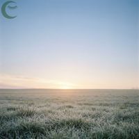 Dewdrop Dreams - Piano for Clear Mind Focus