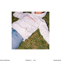 David Rees - Algo especial