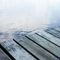Sad Moses - G'Morning Pond