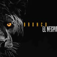 El Negro - Bronco
