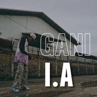 I.A - Gani (Explicit)