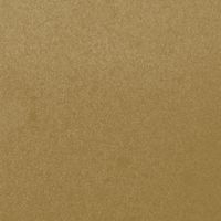 Vladislav Delay - rent-seeking missile