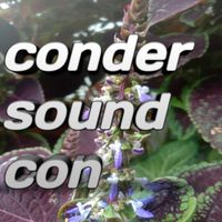 Condro - Conder sound con