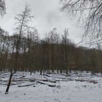 phanTom - Coping Mechanisms 2