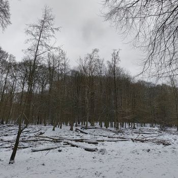 phanTom - Coping Mechanisms 2