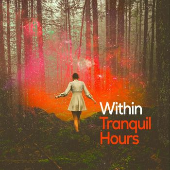 Various Artists - Within Tranquil Hours