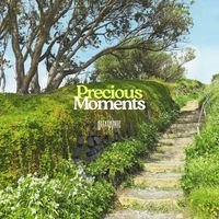 Becky Ainge - Precious Moments