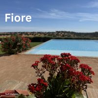 Torfi Olafsson - Fiore