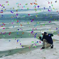 [bsd.u] - 2019 collection (Explicit)