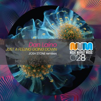 Dan Laino - Just A Feeling Going Down