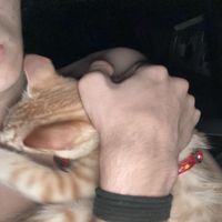 eMeKa - ven a mis br4zos // met4morfosis </3 (Explicit)