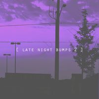 [bsd.u] - Late Night Bumps, Vol. 2