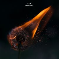 T.O.M - Fire Flower
