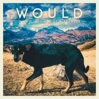 Would - Need A New Old Friend