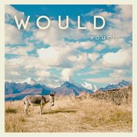 Would - Vouch