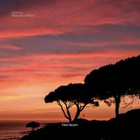 Zenith - Beautiful Place