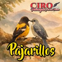 Ciro Paniagua - Pajarillos