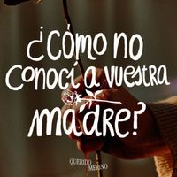 Querido, MERINO - ¿Cómo No Conocí A Vuestra Madre?