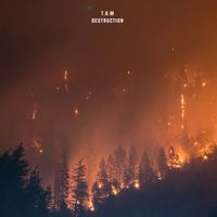 T.O.M - Destruction