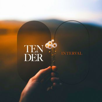 Various Artists - Tender Interval