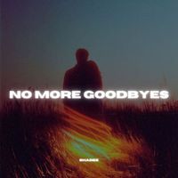 shadee - No More Goodbyes