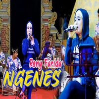 Reny Farida - Ngenes
