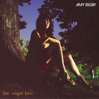 Amy Rigby - The Sugar Tree