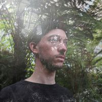 DRWN. - plantboy