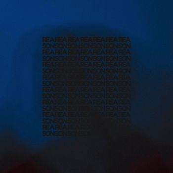 polarbear - Reason