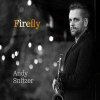 Andy Snitzer - A Way To Your Heart