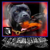 ORCRD - ALL OF MY DAWGS IN A BIG HOUSE (Explicit)