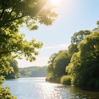 Atmos - Soft Life in July