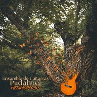 Ensamble de Guitarras Pudahuel - METAMORFOSIS