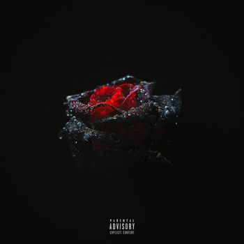 Mynd - AMORE E ODIO (Explicit)