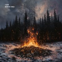 T.O.M - Winter Fires