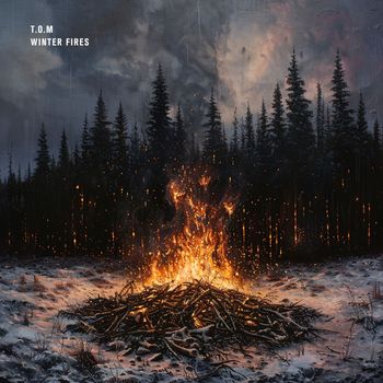 T.O.M - Winter Fires