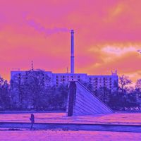 Vikowski - Pollution